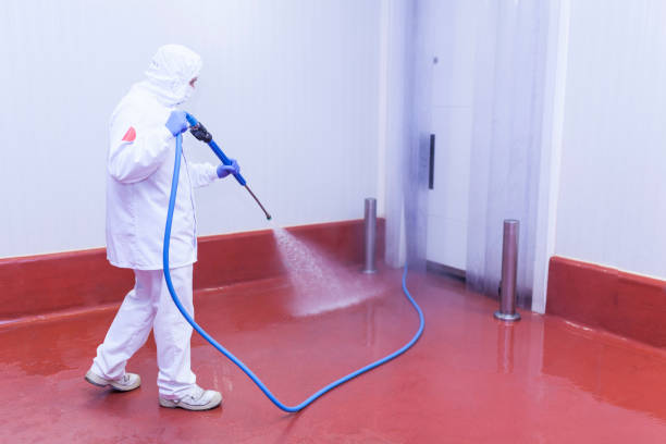 Pre-Holiday Cleaning in San Pablo, NM